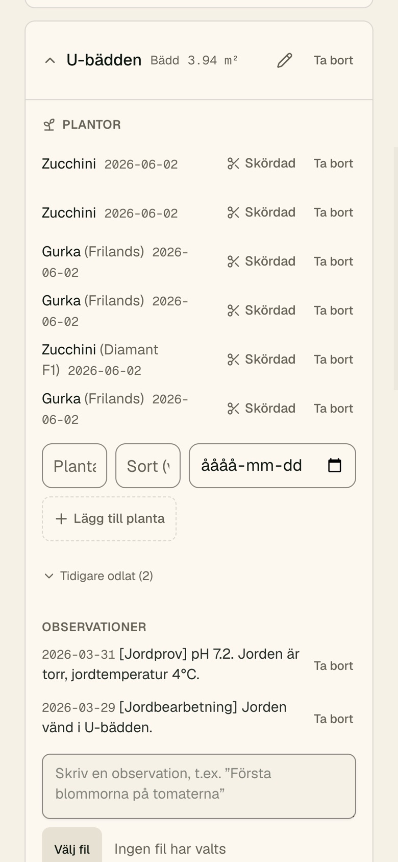 Min trädgård med en bädd expanderad
